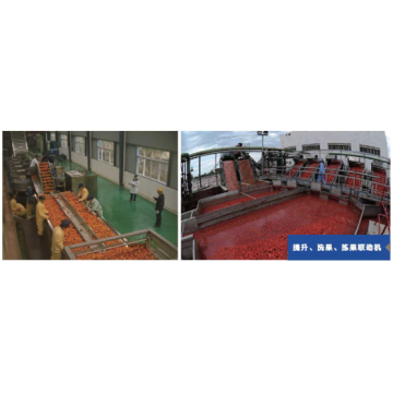 Fruit Lifting Washing Sorting Combiner